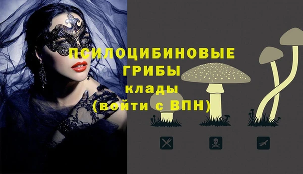 mdpv Бронницы