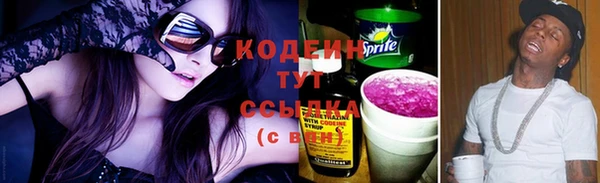 гидра Бородино