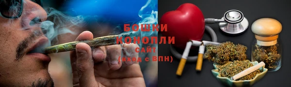 гидра Бородино