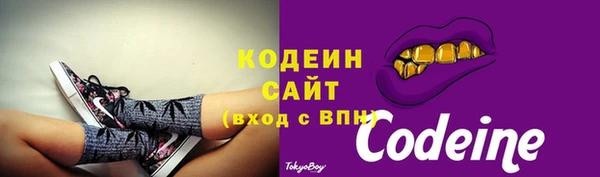 гидра Бородино