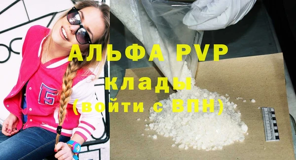 гидра Бородино