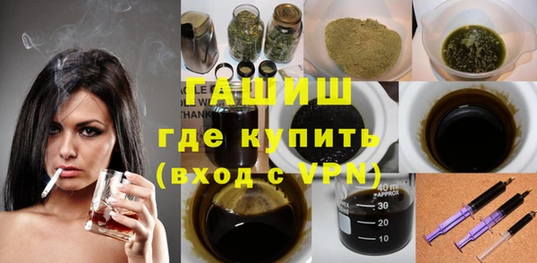 гидра Бородино