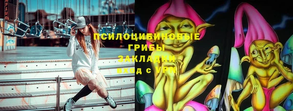 гидра Бородино