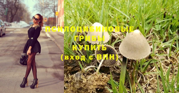 гидра Бородино