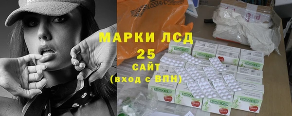 гидра Бородино