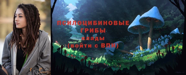 гидра Бородино